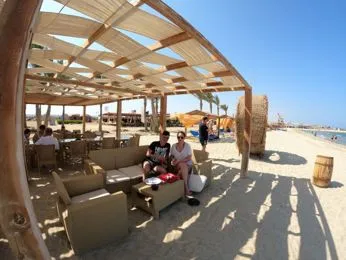 Abu Dabbab Schildkröten Schnorchel Ausflug Schwimmen photo